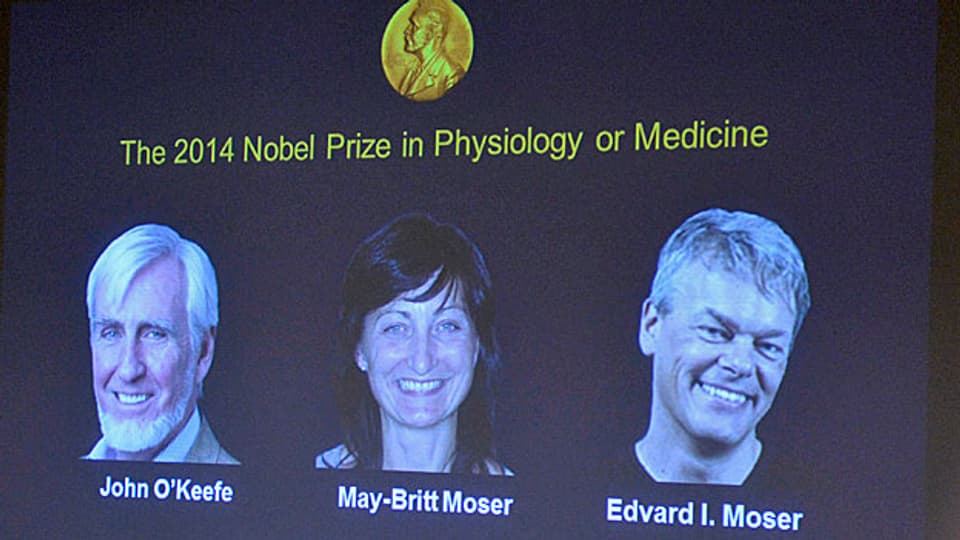 John O'Keffe und May-Britt und Edvard I. Moser sind Medizin-Nobelpreisträger 2014.