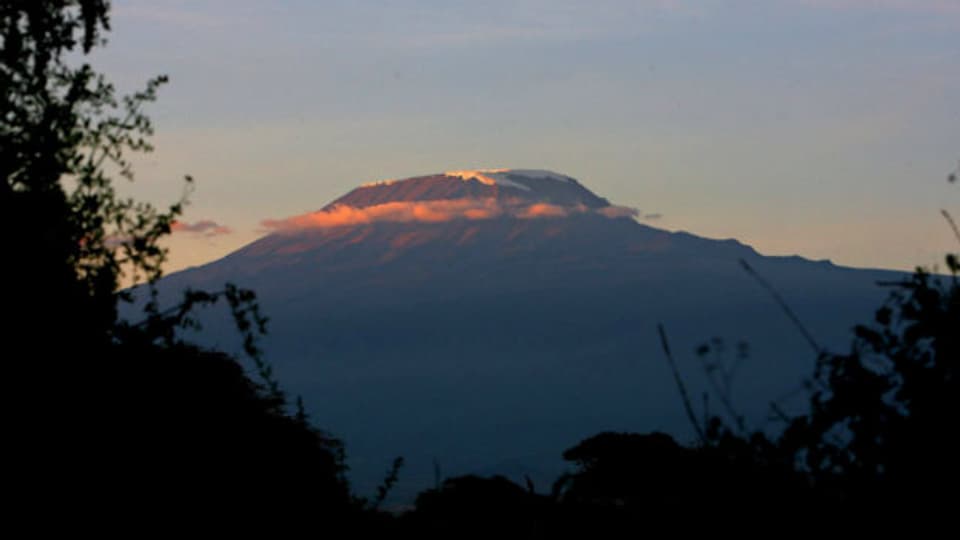 Blick auf den Kilimanjaro.