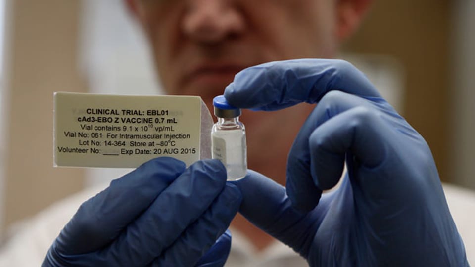 Erste Ebola-Impfungen in Afrika sollen bereits im Dezember in Afrika getestet  werden.