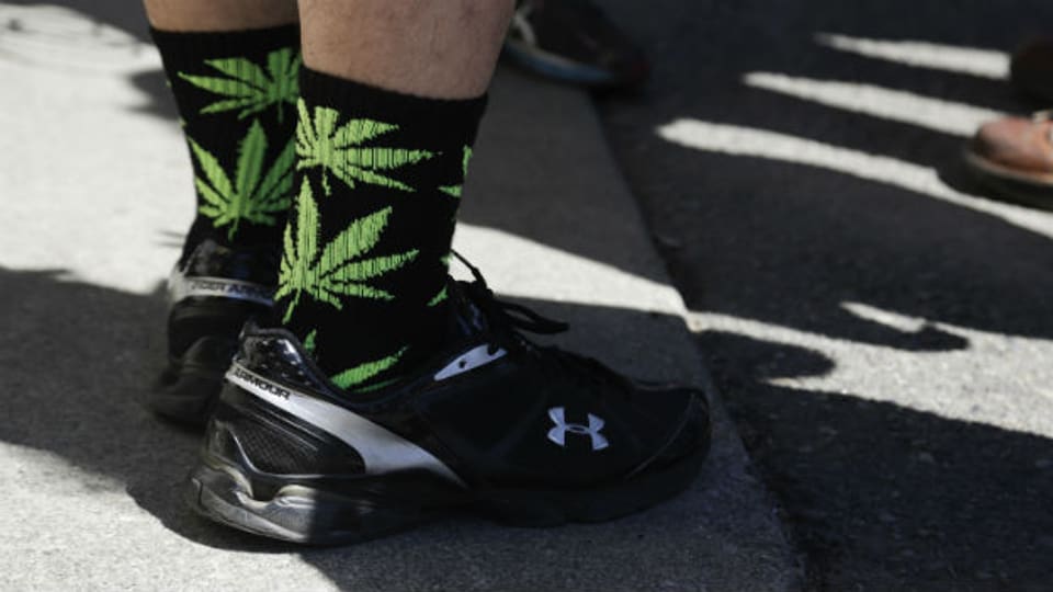 Der neue Trend in den USA: Marihuana legalisieren. Immer mehr Bundesstaaten tun es.