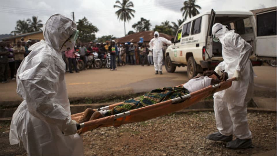 Sanitäter bringen einen Ebola-Kranken in Kenema (Sierra Leona) in eine Ambulanz.