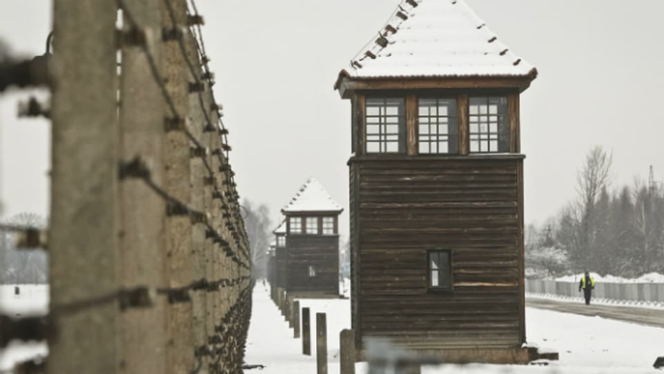 Auschwitz im Januar 2015.