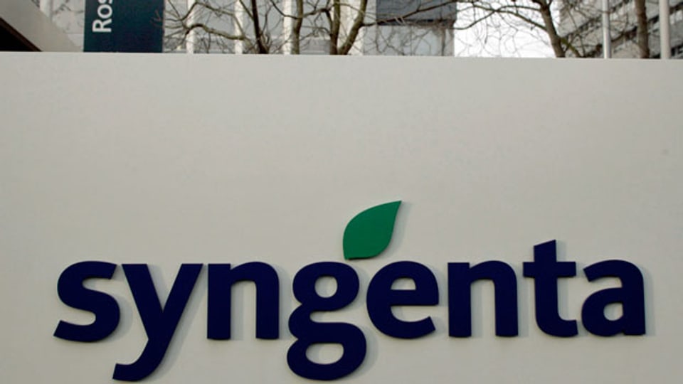 Logo von Syngenta. Die Firma pflanzt auf Hawaii genveränderte Pflanzen an.