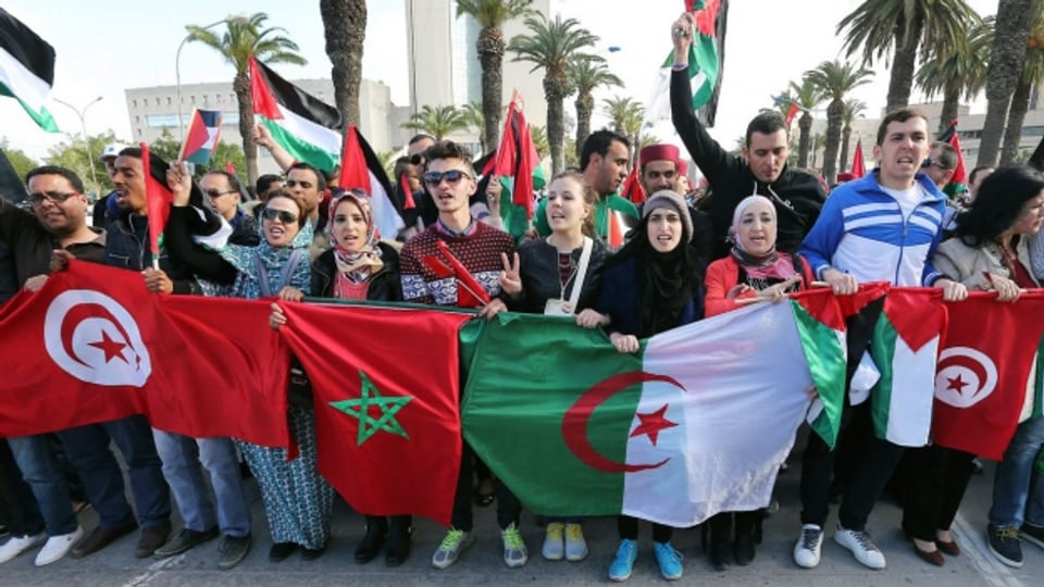 Demonstrierende TeilnehmerInnen des Weltsozialforums in Tunis