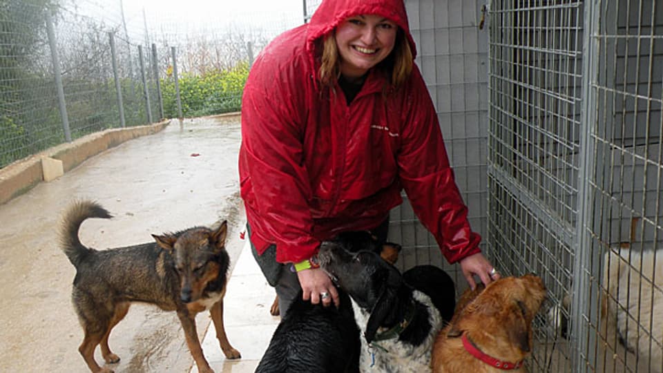 Die 40-jährige Afroditi Sideri engagiert sich beim Tierschutzverein des Athener Vororts Ilioupoli.