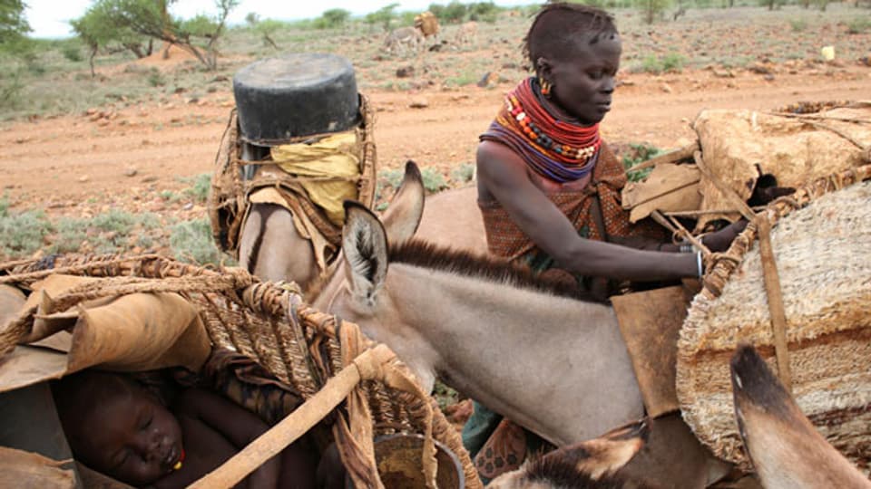 In Äthiopien würden in einem Grossprojekt, an dem die Weltbank beteiligt sei, Kleinbauern von ihren fruchtbaren Feldern vertrieben, auch gewaltsam.