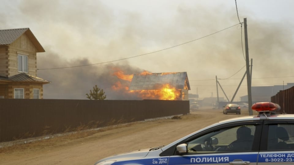 Bislang hat die Feuerwehr in Sibirien die Brände nicht unter Kontrolle.