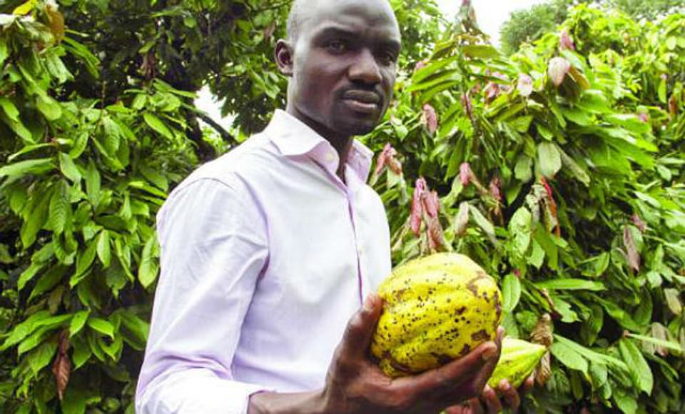 Stephen Sembuya hält Kakaofrüchte in der Hand.