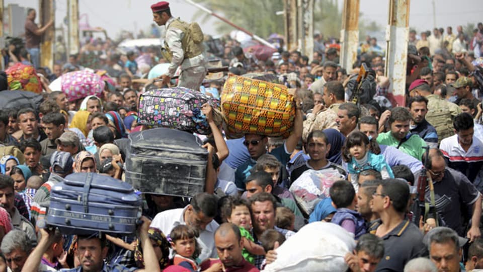 Menschen auf der Flucht vor den Extremisten des Islamischen Staates, die die irakische Stadt Ramadi belagern.