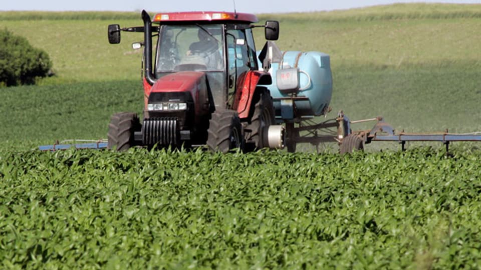 Das Pflanzenschutzmittel Atrazin ist in den USA weitverbreitet. Es wird auf 70 Prozent der Maisfelder gespritzt. In der EU ist es verboten.