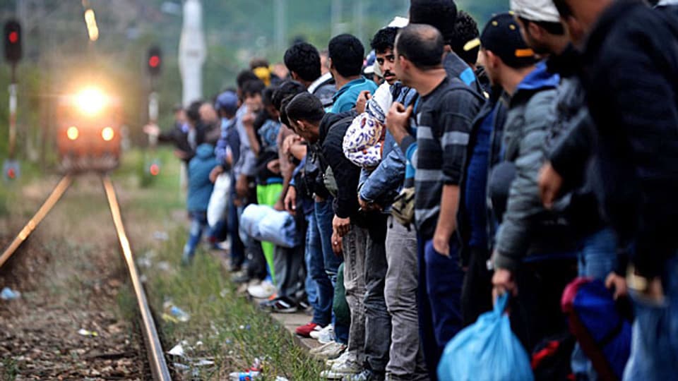 Warten auf einen Zug nach Norden: Syrische, afghanische und pakistanische Flüchtlinge an der mazedonisch-serbischen Grenze.