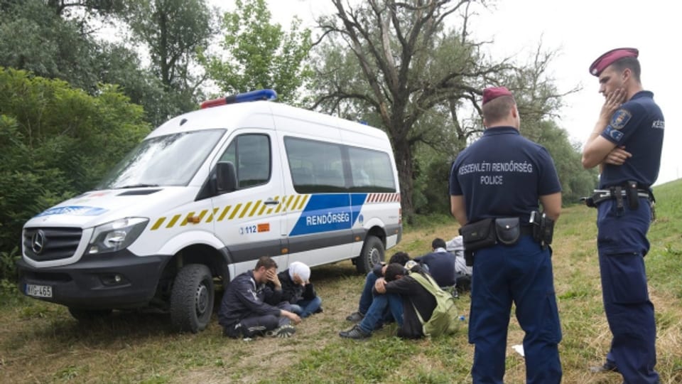 Ratlosigkeit bei Dublin III: Ungarische Polizisten kontrollieren Einwanderer an der Grenze zu Serbien (23. Juni 2015)..