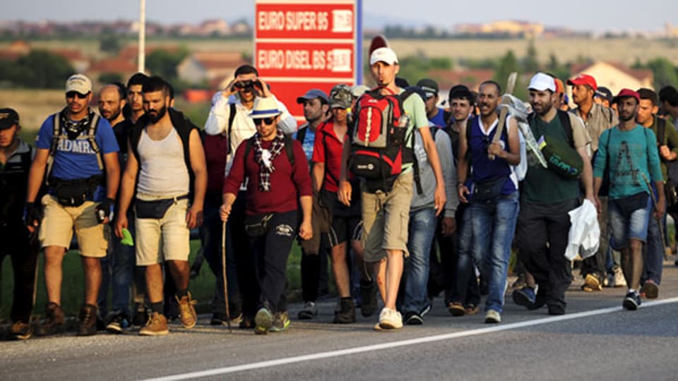 Mehrere tausend Migranten überschreiten zu Fuss täglich die Grenzen zwischen Serbien und Ungarn auf dem Weg in andere EU-Länder.