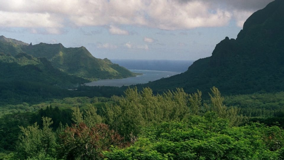 Sicht auf die Opunohu Bucht im Norden der Insel (September 2001).