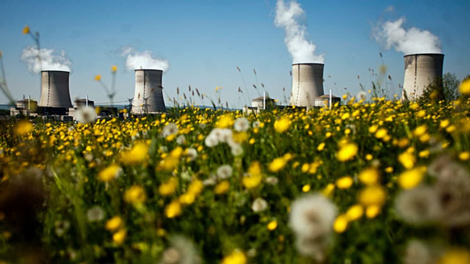 Linksumgekehrt: Frankreich will die Hälfte seiner Energie einsparen und geht auf Distanz zur Atomenergie.
