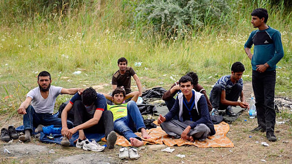 Seit Jahresbeginn wurden in Ungarn knapp 100‘000 Flüchtlinge registriert. Das neue Gesetz ermöglicht es Ungarn, sie nach Serbien zurückschaffen. Bild: Flüchtlinge aus Afghanistan im Niemandsland zwischen Serbien und Ungarn.