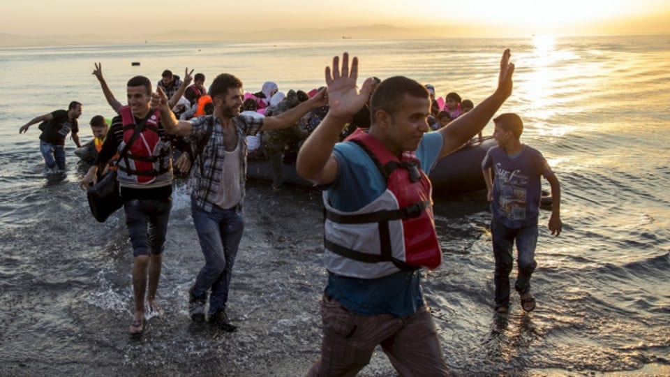 Zwischen Erleichterung und Hoffnung: Immer neue Flüchtlinge stranden auf Booten auf der griechischen Insel Kos.