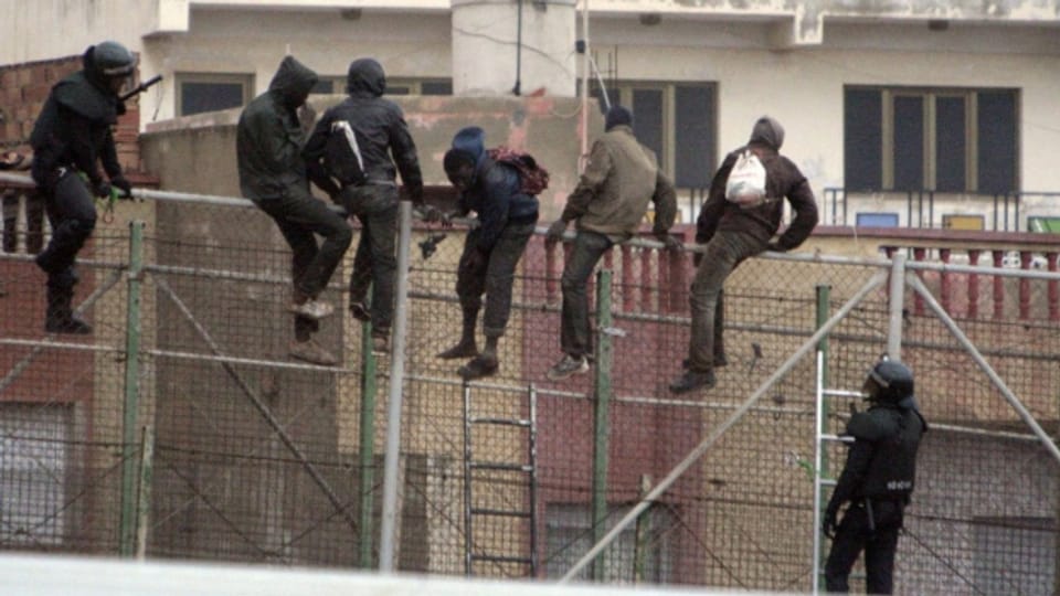 Flüchtlinge versuchen, den Grenzzaun zwischen Marokko und der spanischen Enklave Melilla zu überqueren (Februar 2015).