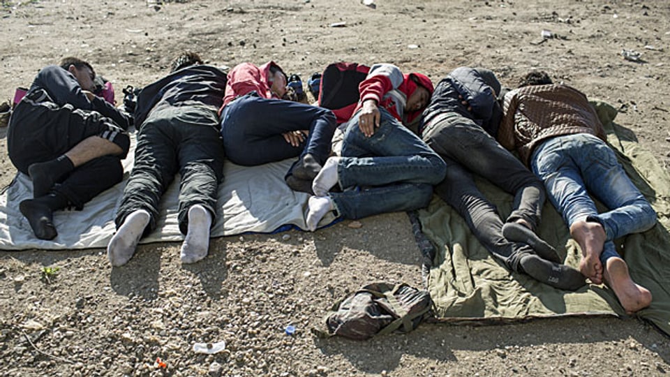 «Wir wollen in Deutschland oder Schweden eine Zukunft finden, die Sprache lernen, eine Arbeit finden, nutzbringend sein. Wir sind qualifizierte Berufsleute und wollen nicht von Sozialhilfe abhängig werden», sagt ein Ingenieur aus Syrien. Bild: Flüchtlinge ruhe sich unter einer Brücke in der Nähe des Belgrader Busbahnhofs aus.