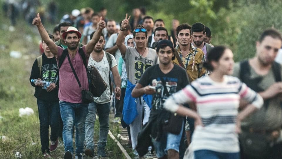 Syrische Flüchtlinge überqueren die Grenze zwischen Ungarn und Serbien bei Röszke.