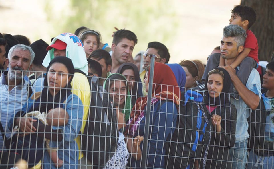 Flüchtlinge warten auf Durchlass an der Grenze zwischen Griechenland und Mazedonien