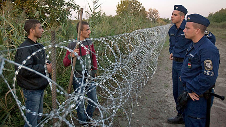Ein Zaun trennt jetzt also Ungarn von Serbien entlang der ganzen gemeinsamen Grenze. Doch nicht einmal die Regierungspartei Fidesz von Premier Viktor Orban vertraut in den Zaun.