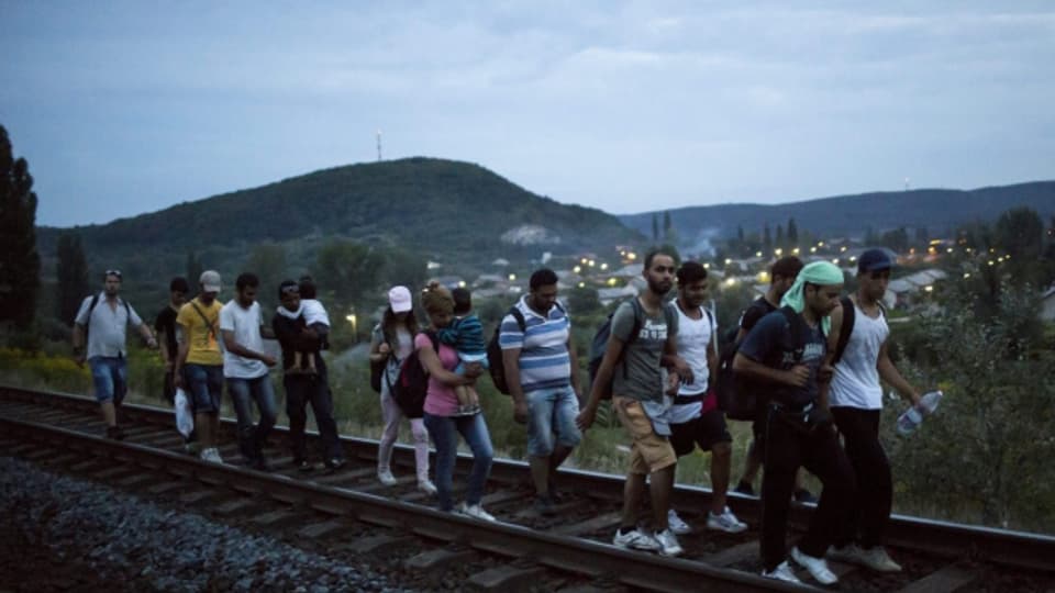 Flüchtlinge auf dem Fussmarsch in Ungarn.