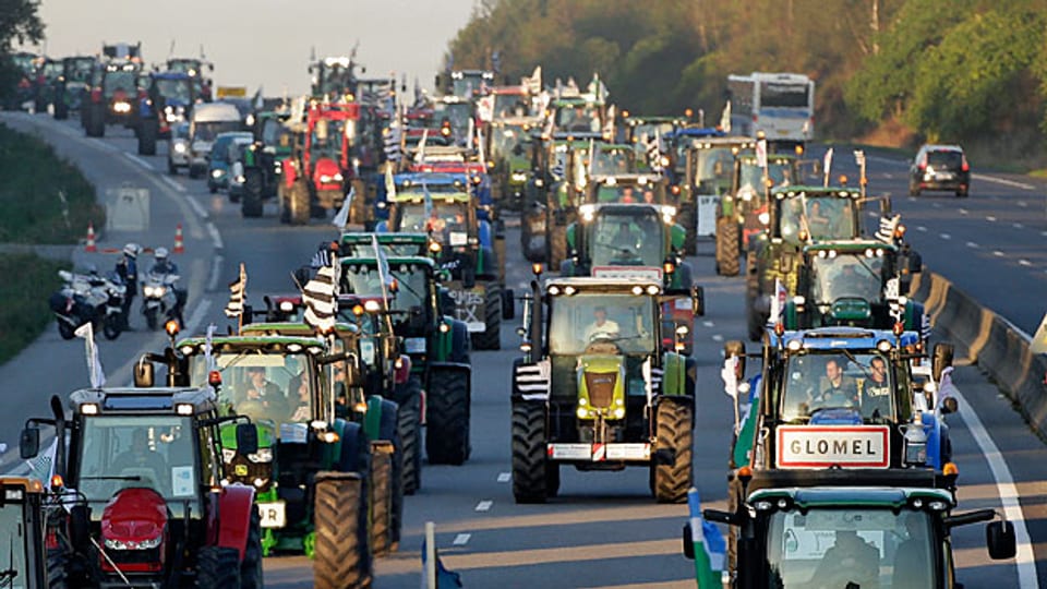Mit Traktoren legen französischen Bauern den Verkehr in und um Paris lahm: Die Preise, die sie für ihr Fleisch erhalten, finden sie - eine Schweinerei.