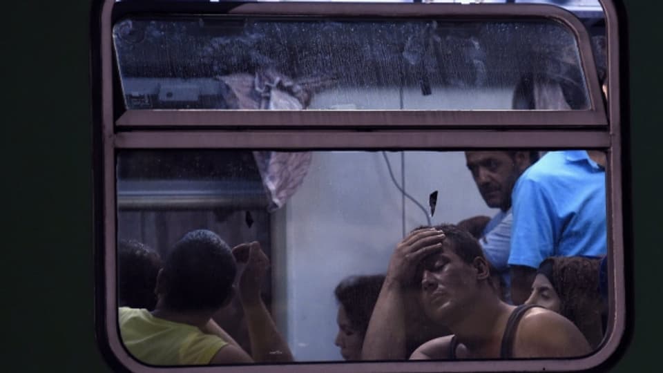 Hoffen auf eine Weiterfahrt: Flüchtlinge warten im Zug in Bicske in Ungarn.