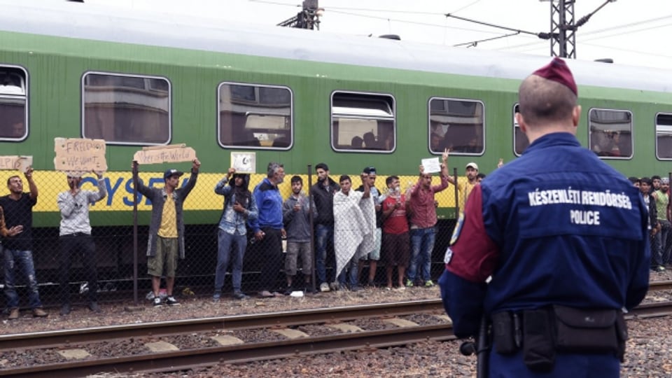 Flüchtlinge beharren auf ihrer Weiterfahrt nach Österreich.