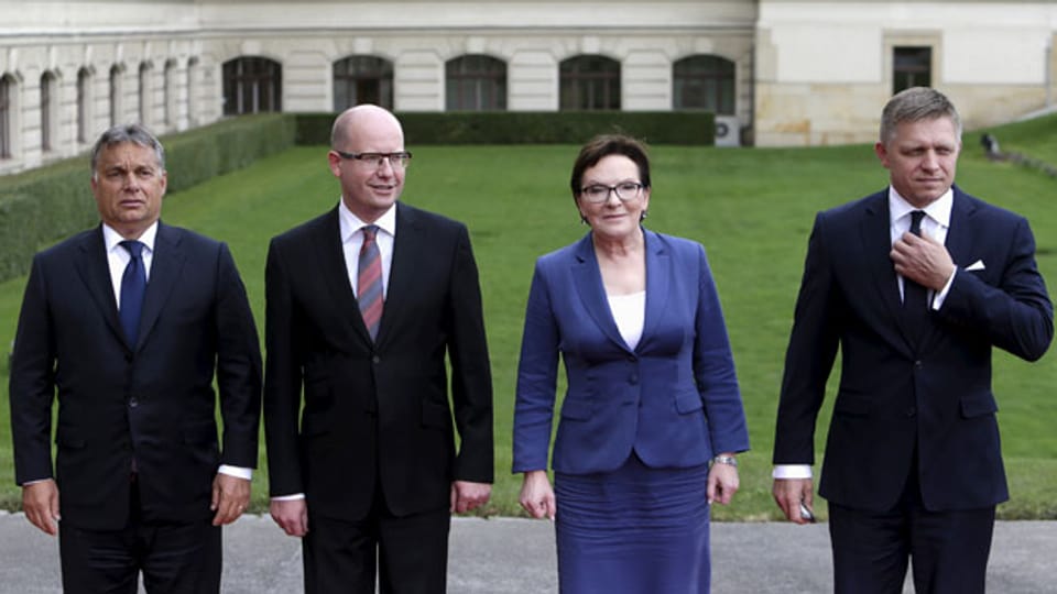 Die Premiers der Visegrad-Staaten: Viktor Orban, Ungarn;  Bohuslav Sobotka, Tschechien; Ewa Kopacz, Polen und Robert Fico, Slowakien (von links).