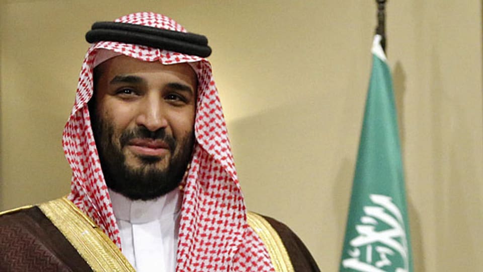 Der saudische Kronprinz Salman regiert seit Januar. Nun fordert ein anonymer Enkel des Staatsgründers einen Regierungswechsel.