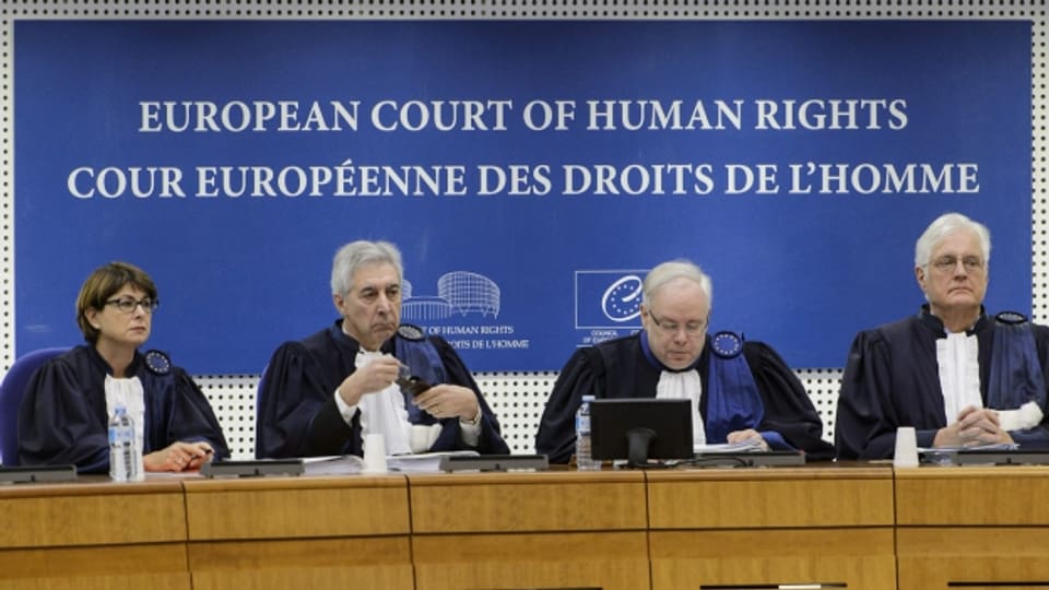 Hearing am Gericht in Strassburg zum Fall Perincek (Januar 2015).