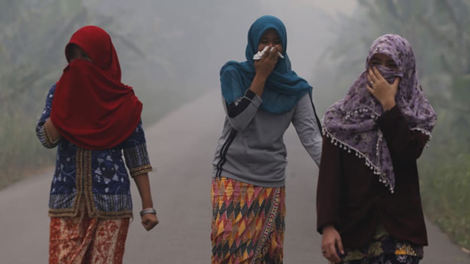 Südostasien keucht unter der Smogdecke wegen der Waldbrände in Indonesien.