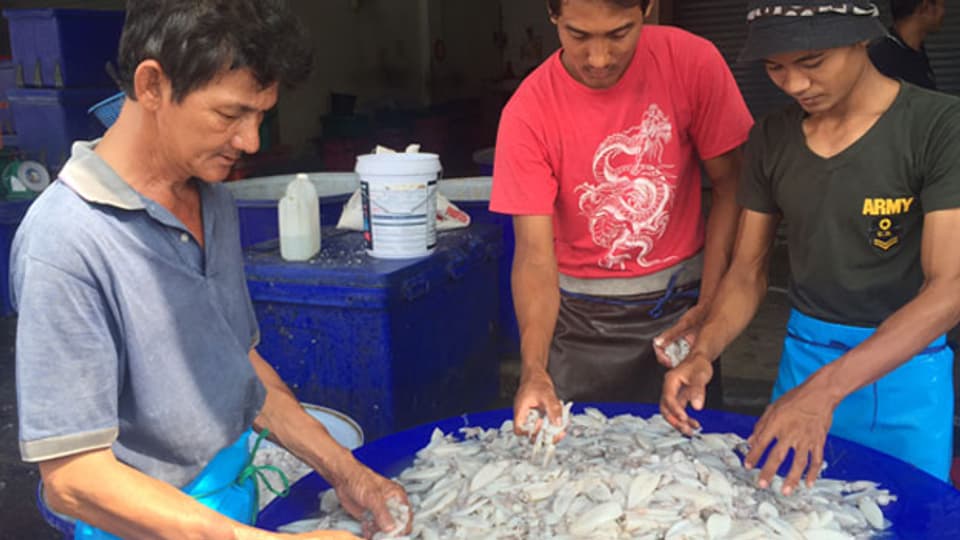 Wer Fische und Meeresfrüchte aus Thailand kaufe, der müsse damit rechnen, dass diese von Sklavenarbeitern gefangen worden seien.
