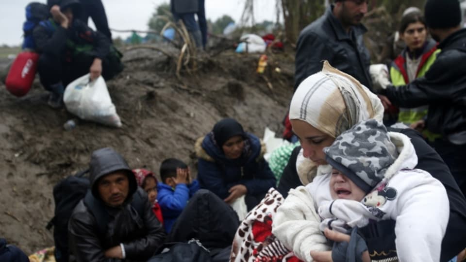 Kälte und zunehmender Regen machen den Flüchtlingen im serbischen Dorf Berkasovo zu schaffen.