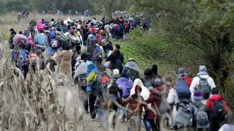 Flüchtlinge in Kroatien kurz nach der slowenischen Grenze.