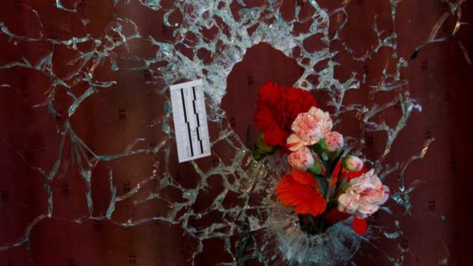 Blumen in einem Einschussloch erinnern an die Terroropfer in Paris.