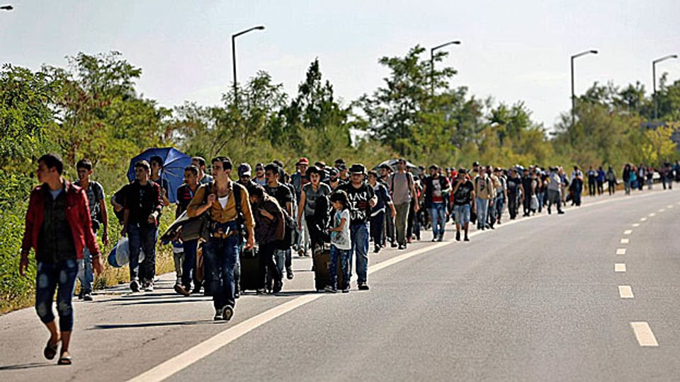  Die Mehrheit der Flüchtlinge aus dem Kriegsland Syrien haben vor allem den Wunsch nach einem «Leben wie ganz normale Menschen». Bild: Flüchtlinge unterwegs auf einer Strasse, die zur türkisch-griechischen Grenze führt.