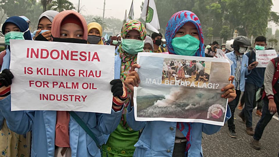 Die Palmöl-Industrie zerstört ganze Landstriche - etwa in Indonesien. Bild: Studentinnen protestieren im indonesischen Pekanbaru.