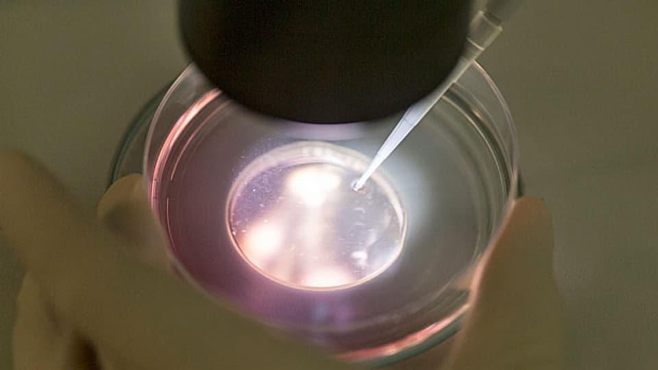 Grossbritannien kippt ein Tabu und erlaubt Genversuche an Embryonen. Symbolbild.