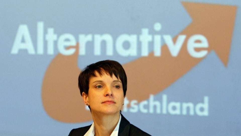 AfD-Chefin Frauke Petry an einer Parteiveranstaltung ihrer Partei in Sachsen.