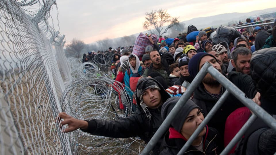 Flüchtlinge hinter einem Stacheldraht, welcher die griechische Seite von der mazedonischen trennt.