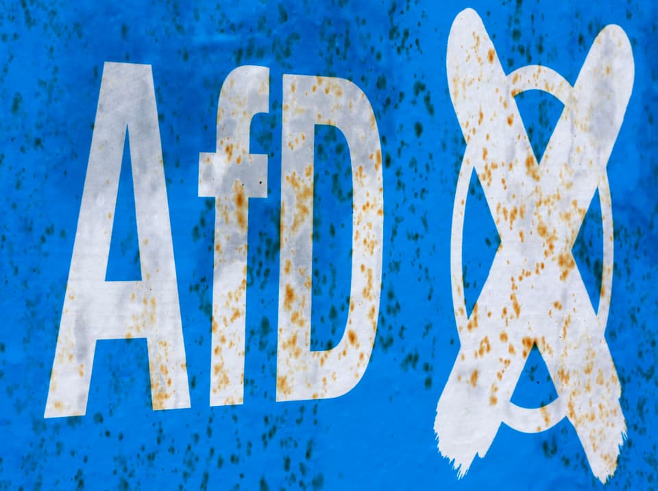 Die AfD will bis Ende Monat ihr Parteiprogramm verabschieden
