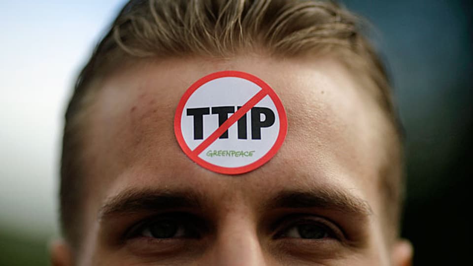 Ein Demonstrant der Umweltschutz-Organisation Greenpeace an der Demonstration gegen den TIPP-Vertrag vom 23. April 2016 in Hannvover.