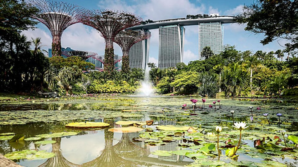 Singapur in grün: Grüne Bauten, grün bepflanzte Häuser, Parks und Naturreservate.