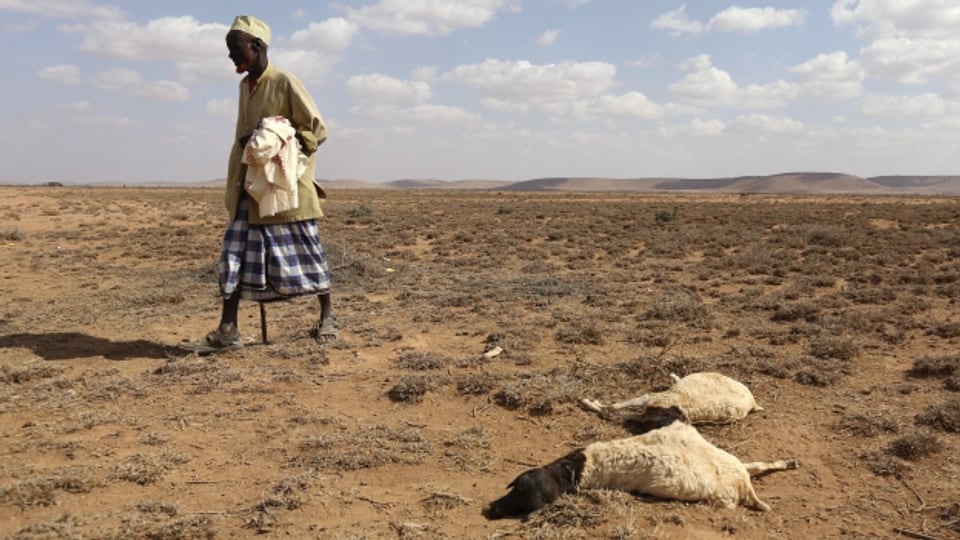 Das Wetterphänomen El Niño gefährdet die Existenz von Bauern in vielen Teilen der Welt.