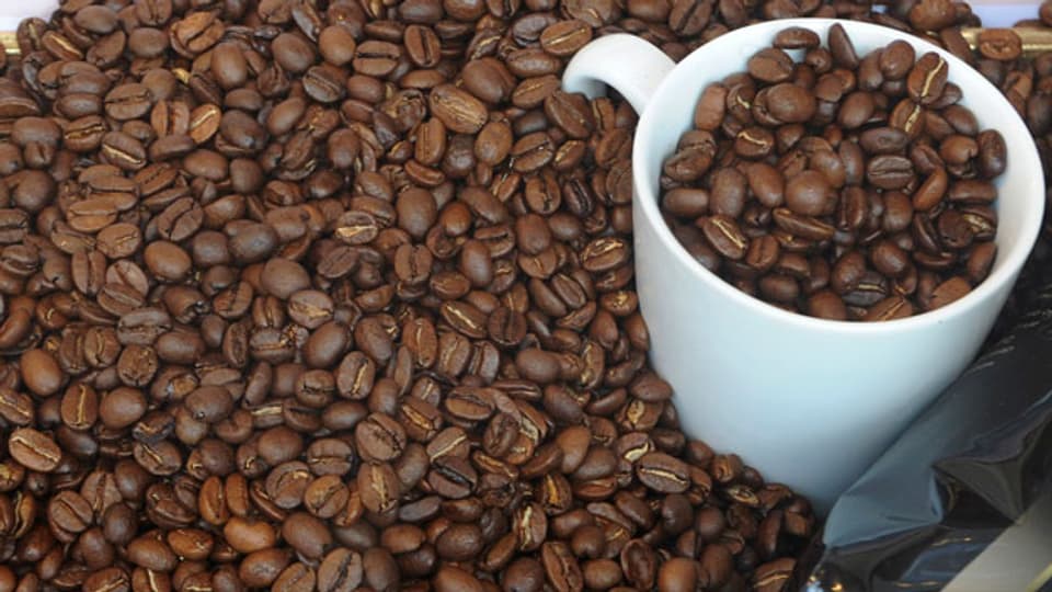 Kaffee – doch nicht krebserregend?