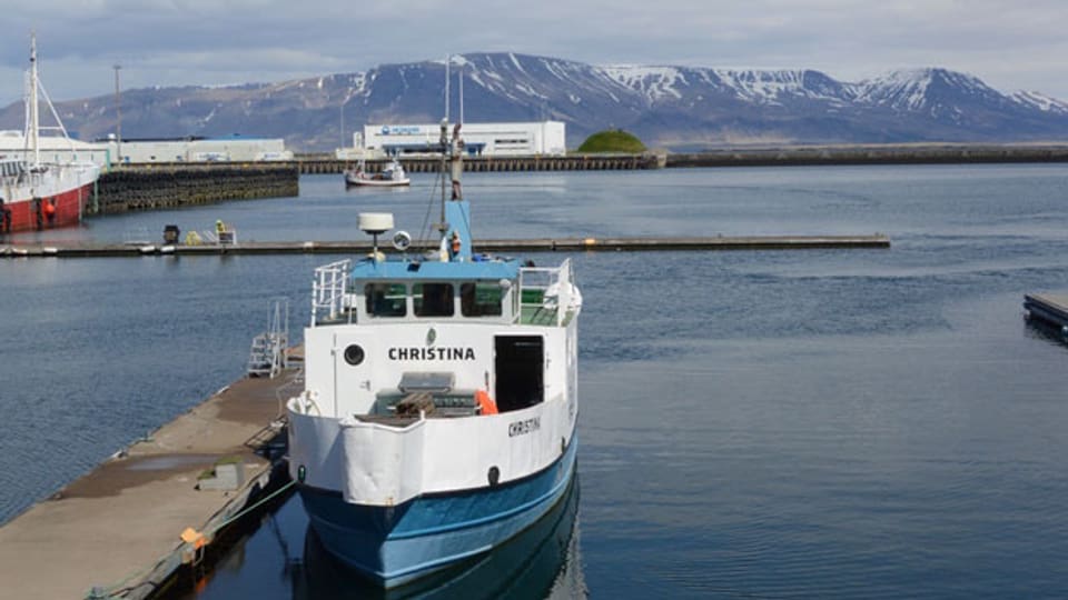 Hafenszene in Reykjavik.