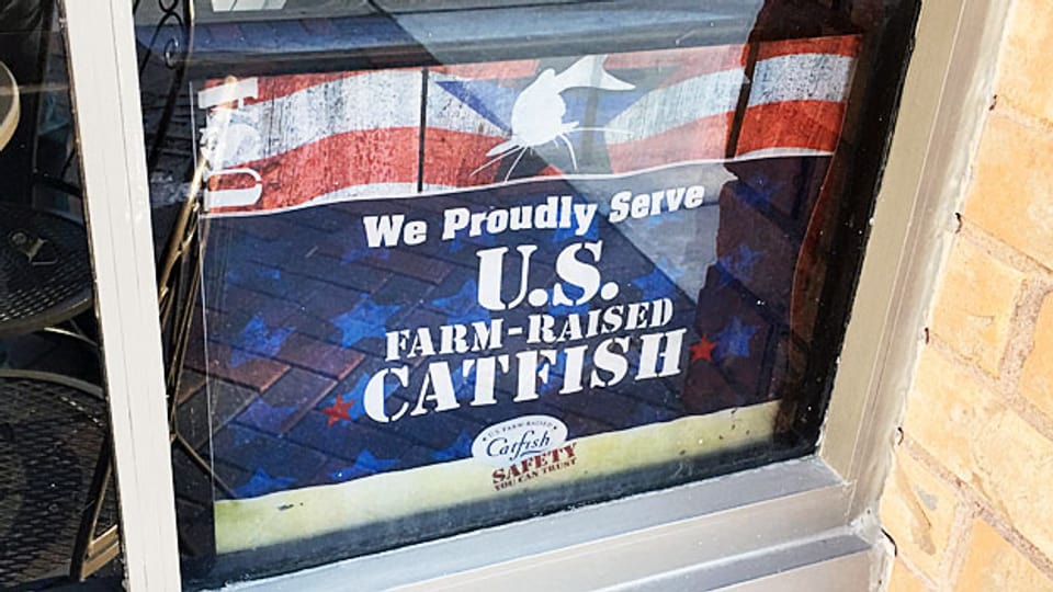 Zum Schutz des einheimischen Marktes setzte die Catfish-Lobby in Washington durch, dass in Restaurants und Läden der USA nur Catfish aus heimischen Farmen so genannt werden darf.